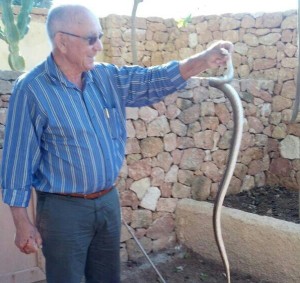 Un vecino de Formentera sostiene un ejemplar capturado en la isla.