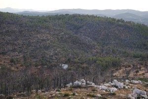 Imatge de la serra de Morna calcinada. Foto: D.V.