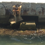 Un atraque del club en la acualidad,
