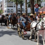 Anar a Maig