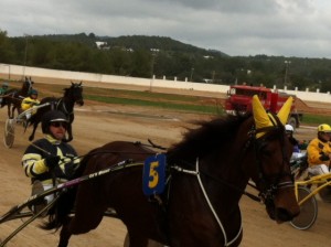 El cavall Urania de Font durant una de les curses. Fotos: D.V.