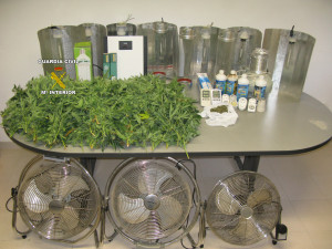 Además de las plantas de marihuana, la Guardia Civil se ha incautado de las herramientas y el material empleado para su cultivo.  