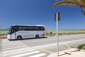 Formentera compta amb un total de 6 línies regulars, més dos rutes amb itineraris turístics, de autobuses. 