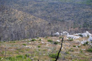 Imagen actual de la serra de Morna, en Sant Joan de Labritja, dos años después del suceso. 