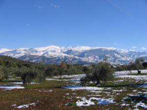 El curs tendrà lloc a Sierra Nevada, Granada, entre l’1 i el 6 de gener. Foto: Javier Martín (Wikipedia)