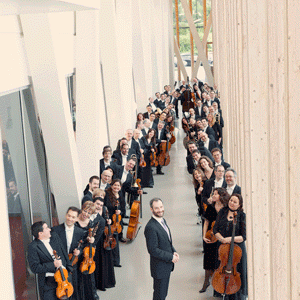 En la imagen, la Orquesta Sinfónica de Galicia. Foto: sinfonicadegalicia.com