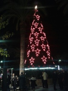 arbresantantoni