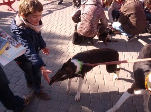 Un niño juega con uno de los perros del Centro de Recuperación animal de sa Coma