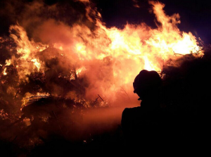 Foc al bosc  Foto: Bomberos de Ibiza