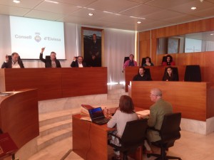 Imatge del ple del Consell. Foto: PSOE-Pacte.