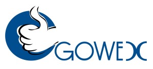 Logo de la empresa Gowex.