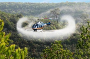 Un helicóptero fumigará varias áreas con un tratamiento fitosanitario contra las procesionarias del pino. 