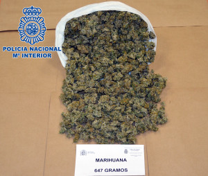 Imagen de la marihuana incautada en Sa Penya. 