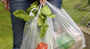 Amics de la Terra demana  una legislació incisiva com la prohibició de les bosses de plàstic.