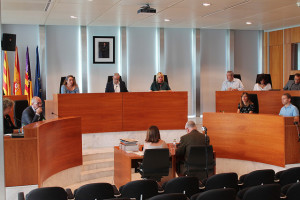 Imagen del pleno celebrado en septiembre en el Consell d'Eivissa.