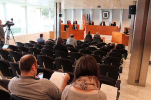 Imagen del pleno del Consell de Ibiza. 