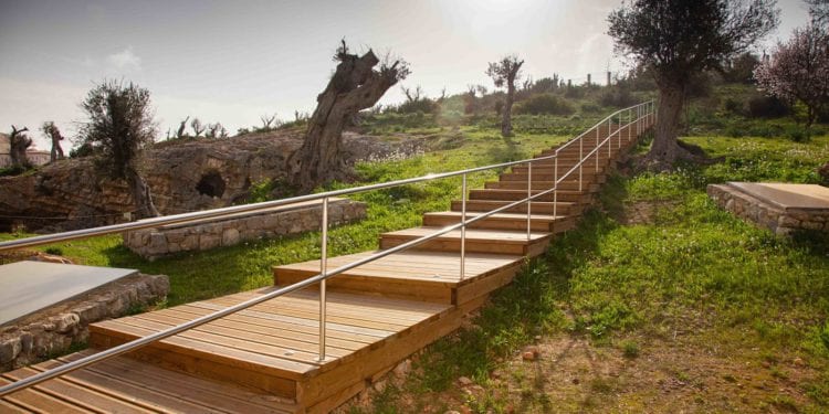 Las jornadas se celebran el Museu Arqueológic del Puig des Molins.