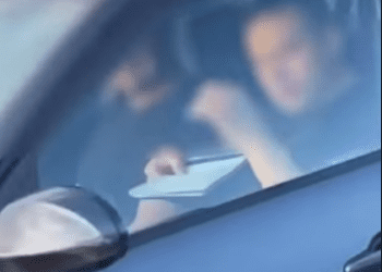 El conductor, en una imagen del vídeo publicado por Crónica Balear
