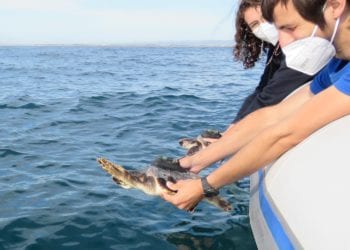 Marina y Xeresa en el momento de su retorno al mar.