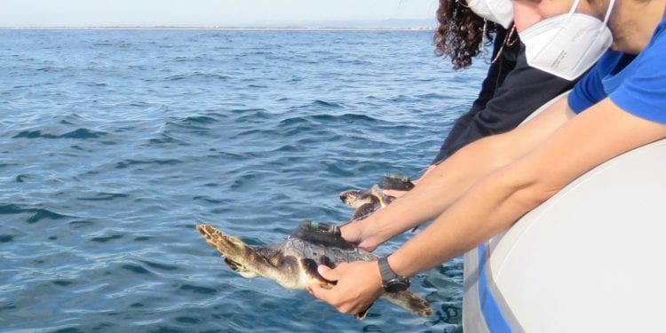 Marina y Xeresa en el momento de su retorno al mar.