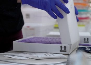 Una partida de vacunas llegadas a Baleares.