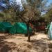 Campamento Cala Jondal.