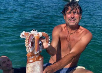 Calamar gigante en aguas de Formentera. Imagen de Henri Portier, compartida en el grupo Pesca en Ibiza y cedida a Noudiari.