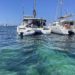 Catamaranes de chárters ilegales, fondeados sobre posidonia en la bahía de Portmany