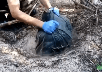 Paquete con material de venta ambulante, desenterrado de un agujero por la Policía Local de Sant Josep. Imagen Policía Local