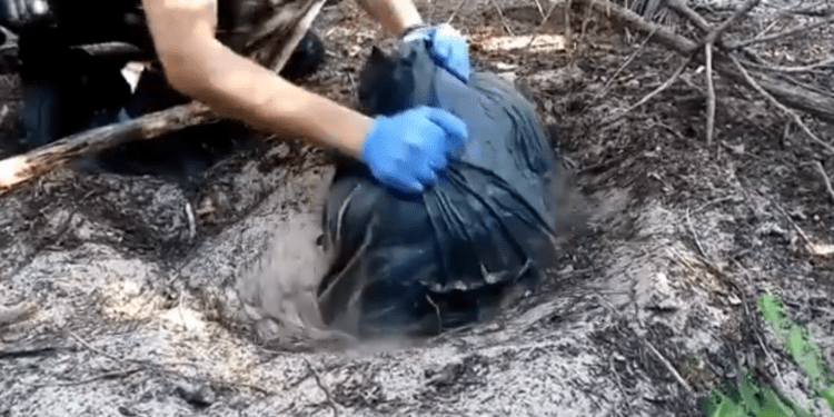 Paquete con material de venta ambulante, desenterrado de un agujero por la Policía Local de Sant Josep. Imagen Policía Local