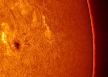 Foto: AEE - Joan Lluís Ferrer.