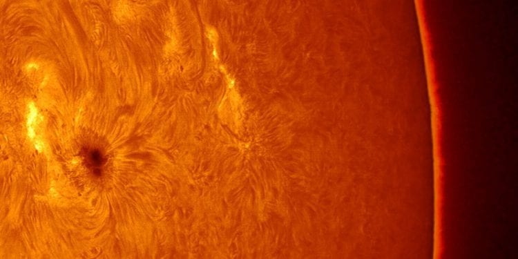 Foto: AEE - Joan Lluís Ferrer.