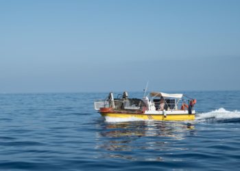 Servicio de limpieza del litoral.