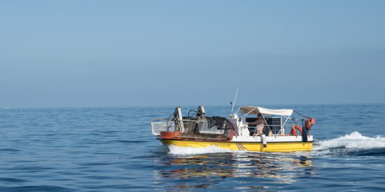 Servicio de limpieza del litoral.