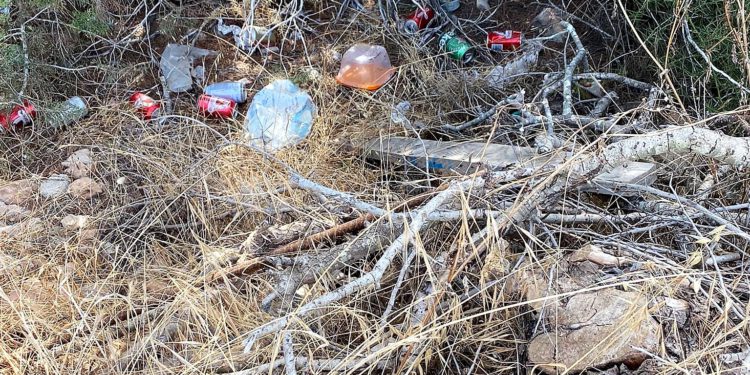 Foto: Debat Obert/Prou!!