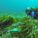 Un fondeo sobre posidonia en Talamanca en una imagen de archivo