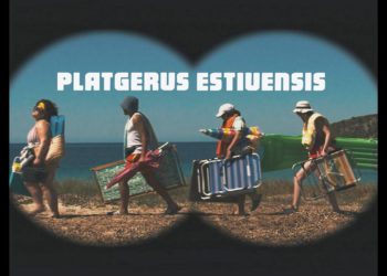 Imagen de la campaña 'Platgerus estiuensis'.