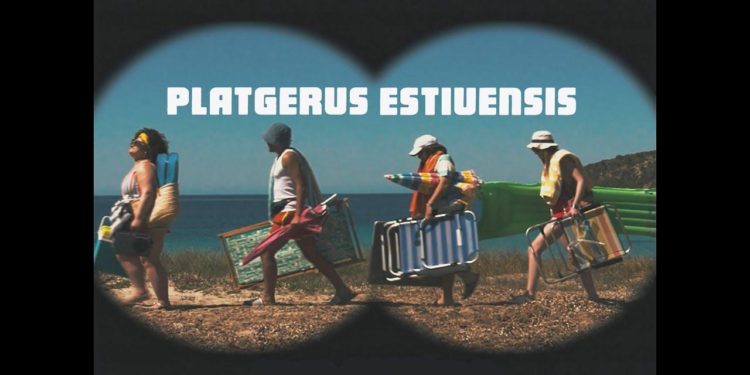 Imagen de la campaña 'Platgerus estiuensis'.
