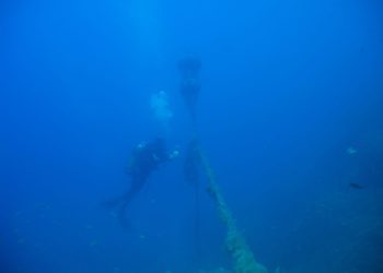 Fotos: Arxiu RRNN (Marta Bayona i Abel O'Fferrall)