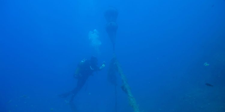 Fotos: Arxiu RRNN (Marta Bayona i Abel O'Fferrall)