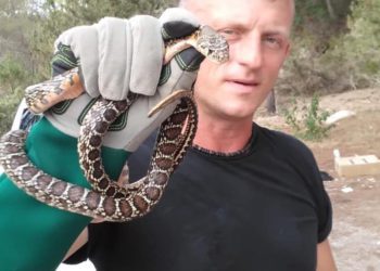 Dean Gallagher con una de las serpientes atrapadas.
