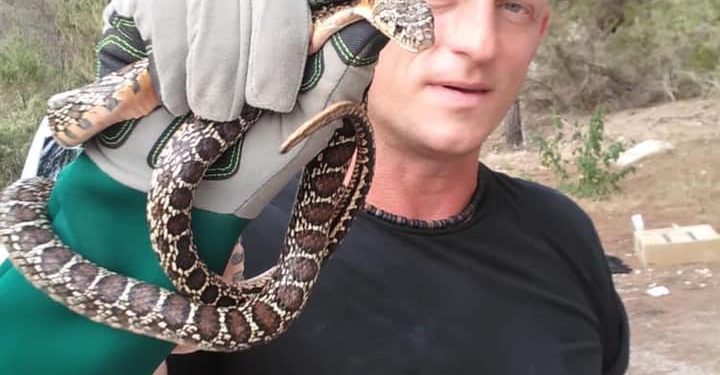 Dean Gallagher con una de las serpientes atrapadas.