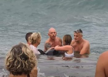 Delfín en Cala Jondal. Foto: Wietske Hoekstra