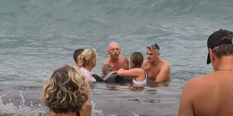 Delfín en Cala Jondal. Foto: Wietske Hoekstra