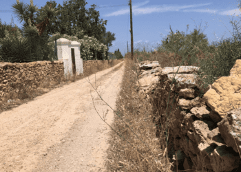 Un camino de Formentera.