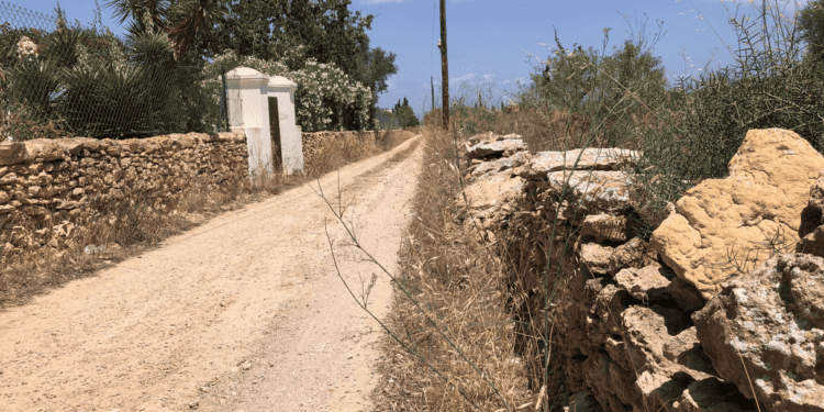 Un camino de Formentera.