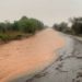 Una carretera de Santanyí. Imagen de Jaume Cabrer Soler Twitter