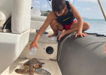 Hidratando a la tortuga rescatada. Foto: CNI.