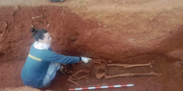 Restos hallados en el cementerio de ses Figueretes de Ibiza.