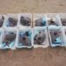 Las tortugas que fueron soltadas en Cullera, en una imagen de la Fundació Oceanogràfic